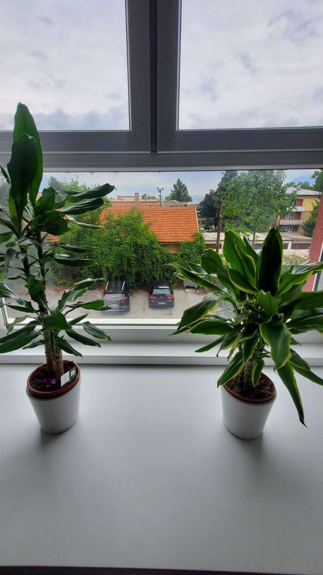 Apartmani Blue I Green Bugojno Exterior photo